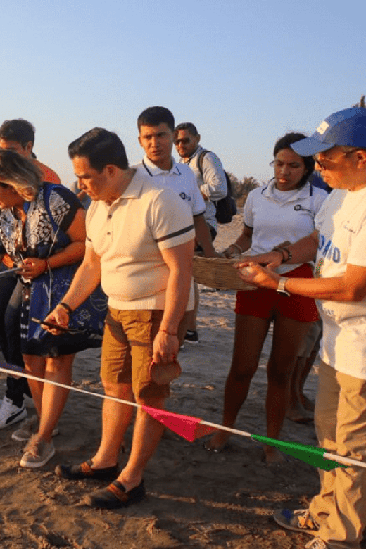 Acapulco: Turtle Release Experience - Key Points