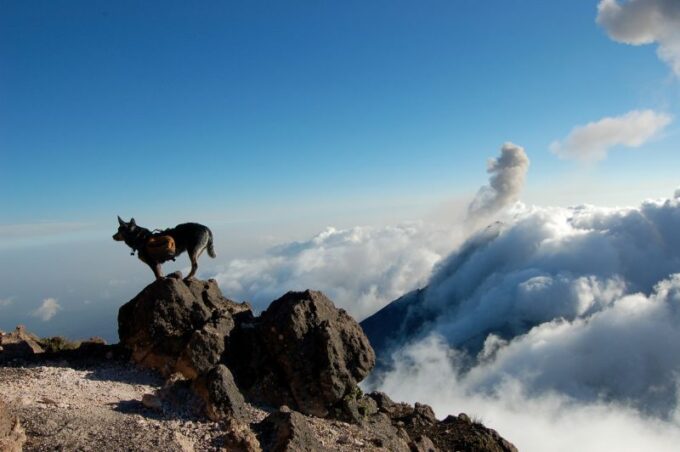 Acatenango Volcano 2-Day Hike - Frequently Asked Questions