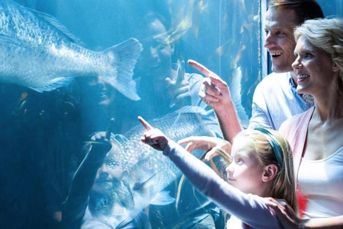 Access Entrance Ticket to AquaRio Aquarium - Including Transport and Ticket - Meeting and Pickup Information