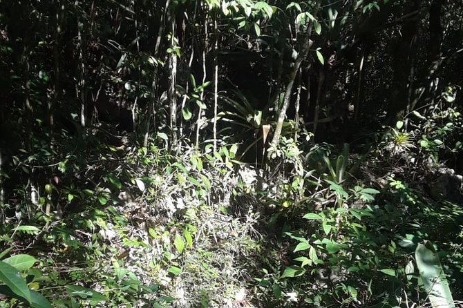 Accompong Town Of The Maroons Day Adventure - Questions About Your Stay