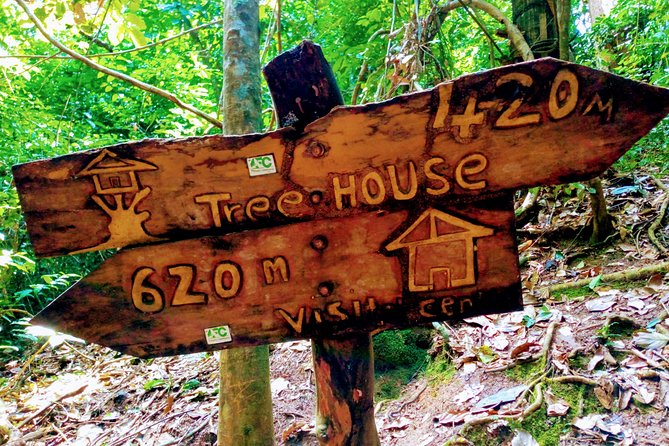 Accra and Cape Coast Escape - Exploring Kakum National Park