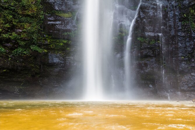 Accra: Wli Waterfalls and Tafi Monkey Sanctuary Private Day Tour - Key Points
