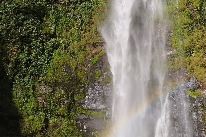 Accra: Wli Waterfalls and Tafi Monkey Sanctuary Private Day Tour - Verified Customer Reviews