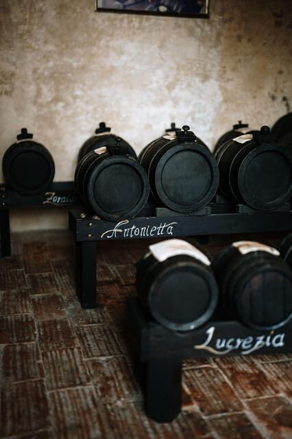 Acetaia Classica: Balsamic Vinegar Factory Tour & Tasting - Overview of the Balsamic Vinegar Tour
