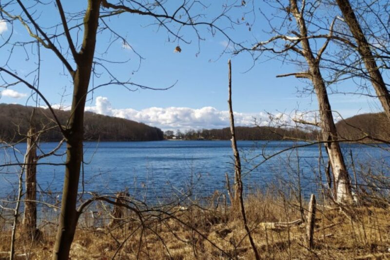 Achterland-Tour - the Hinterland: Dreamy and Beautiful - Guides Background Information