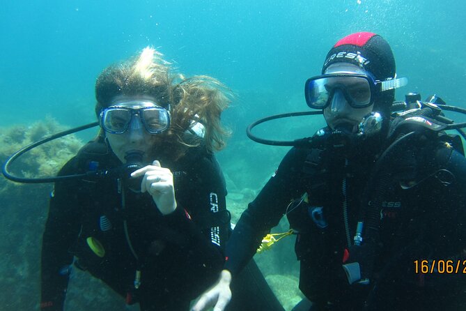 Aci Castello Diving for Certified Divers - Schedule and Availability