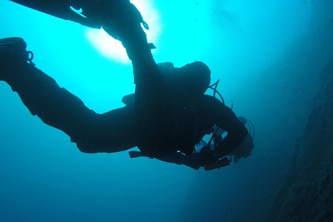 Aci Castello Diving for Certified Divers - Why Choose Aci Castello Diving?