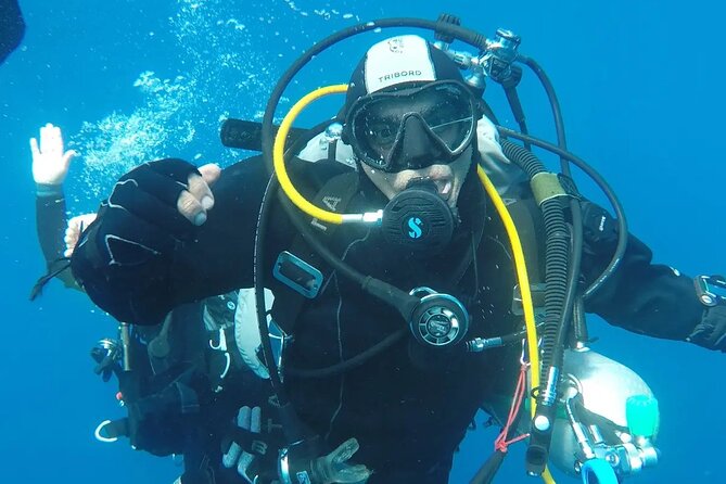 Aci Castello Diving for Certified Divers - Memorable Underwater Experiences