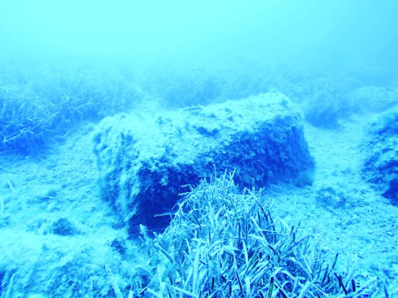 Aci Castello Freediving Snorkeling. - Key Points