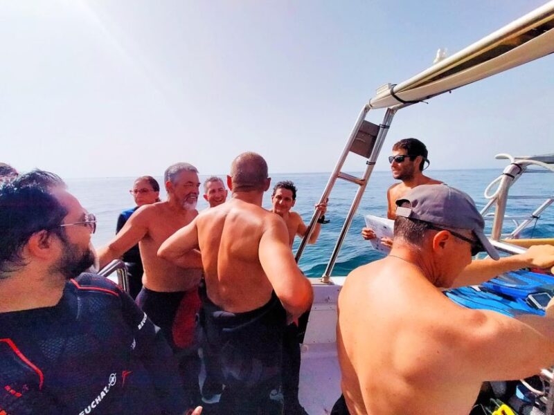 Acireale Castle Freediving Snorkeling With Small Sicilian Lunch - Wine and Food Tasting