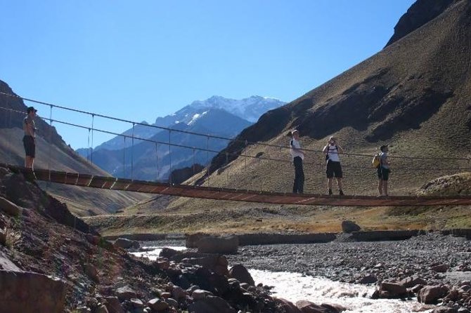 Aconcagua Base Camp Day Trek - Wildlife Sightings