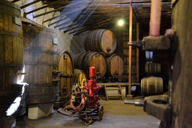 Aconcagua Private Wine Lovers Premium Tour - Key Points
