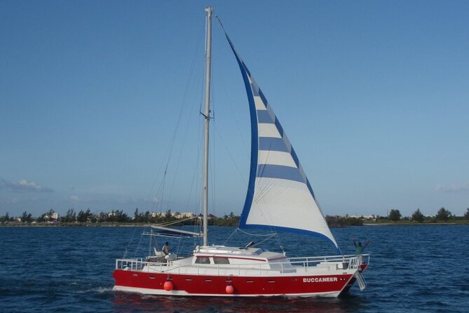Acquarius Stingray City and Snorkel Tours - Customer Feedback
