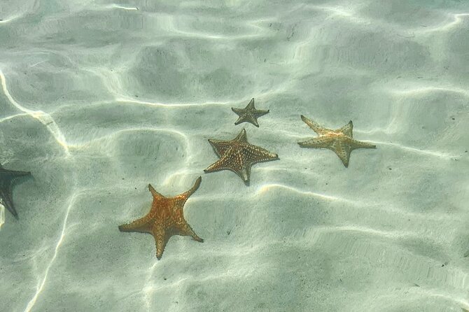 Acquarius Stingray City and Snorkel Tours - Cancellation and Booking