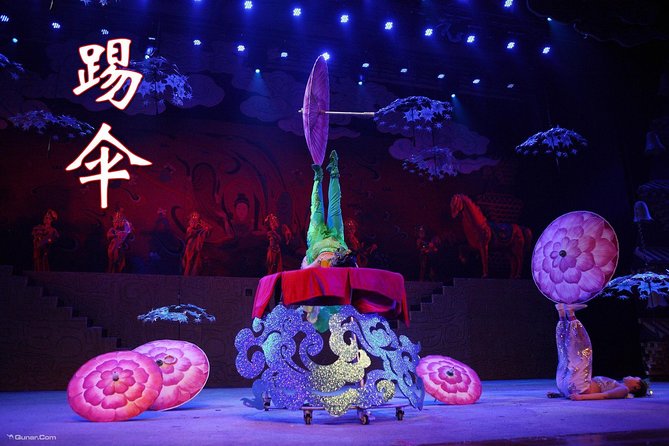 Acrobatics Show With Private Driver Service Include Hotel Pick-Up and Drop-Off - Booking Information