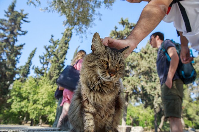 Acropolis of Athens, Ancient Agora and the Agora Museum Tour - Important Notes