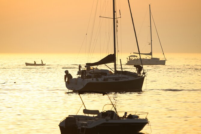Activated Sailing Trip 2 Hours From Puerto De Banús, Marbella - Transportation and Accessibility