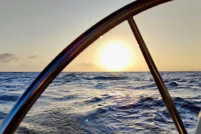 Activated Sailing Trip 2 Hours From Puerto De Banús, Marbella - Participant Recommendations