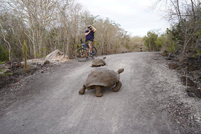Active Galapagos Island Tour 10 Days - Itinerary Breakdown