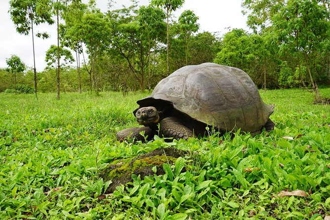 Active Galapagos Island Tour 10 Days - Customer Feedback
