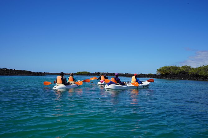 Active Galapagos Island Tour 10 Days - Wildlife Encounters