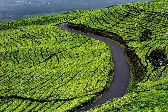 Active Volcano, Rice Field, Hot Spring, Fruit Market, Tea Plantation With Lunch - Ciater Hot Springs