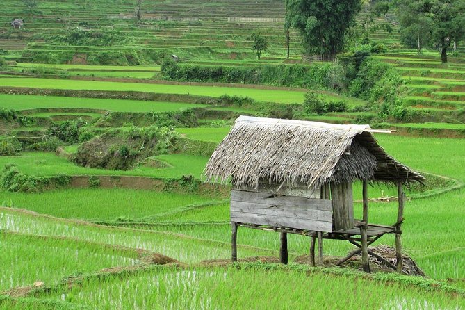 Active Volcano, Rice Field, Hot Spring, Fruit Market, Tea Plantation With Lunch - Pricing and Logistics