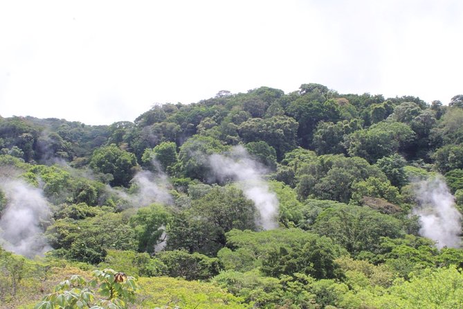 Active Volcano Walk @ Rincón De La Vieja - Wildlife Opportunities
