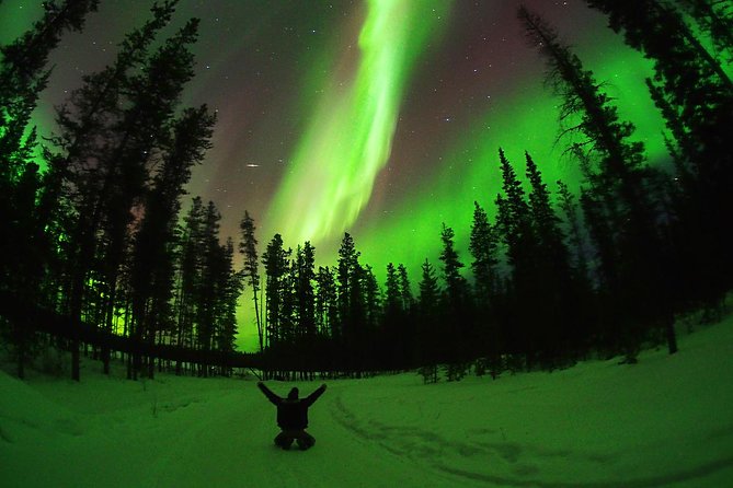 Active Winter Adventure in Yukon | 5 Days - Included Activities