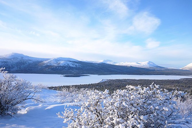 Active Winter Adventure in Yukon | 5 Days - Tour Highlights