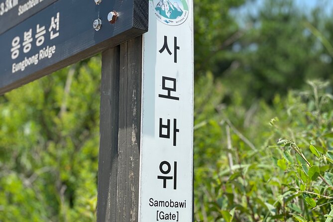 Activity - Mt. Bukhan Hiking Guided Tour - Visiting Gyeongbok Palace and Jogyesa Temple