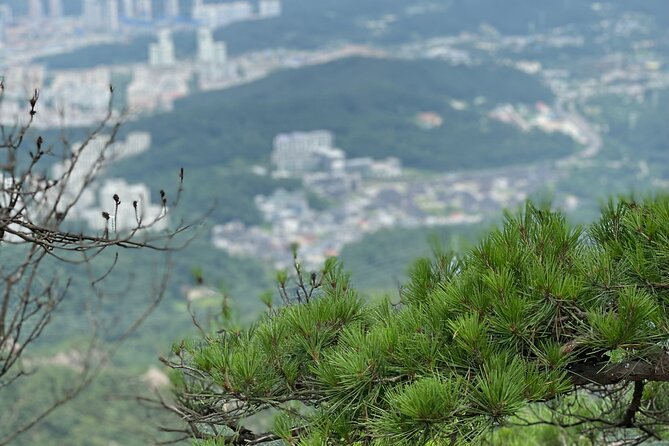 Activity - Mt. Bukhan Hiking Guided Tour - Positive Reviews and Ratings