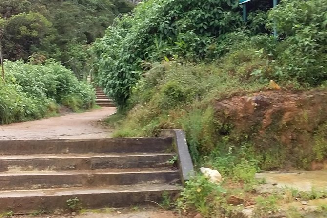 Adams Peak From Bentota, Beruwala, Kalutara - Pickup and Drop-off Logistics