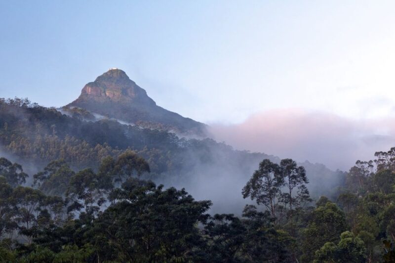 Adams Peak: Overnight Trek via Peak Wilderness Sanctuary - Itinerary Details