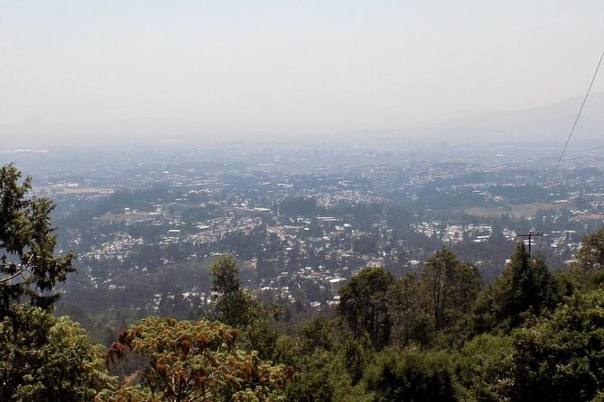 Addis Ababa City Tour - Neighborhoods to Explore