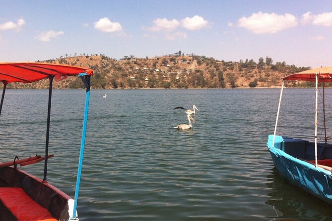 Addis Ababa Spa -Day Trip To Debre Ziet(Resort Towns) - Meeting Point and Transportation