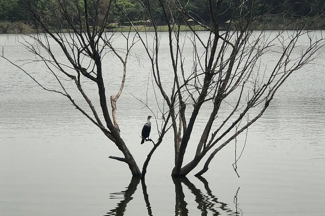Addis City Tour & Crater Lakes Excursions in Debreziet! - Visit to National Museum