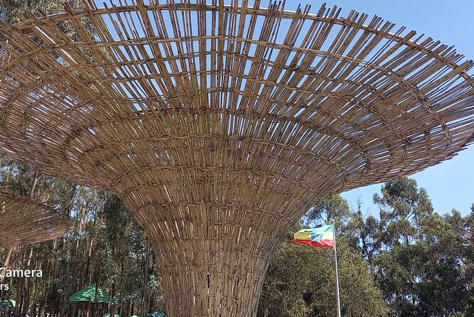 Addis City Tour & Crater Lakes Excursions in Debreziet! - Contact Information