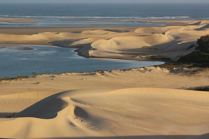 Addo Elephant National Park and Sunset River Cruise - FD04 - Customer Reviews