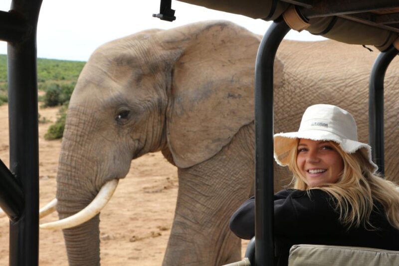 Addo Elephant National Park Game Drive Day Tour With Lunch - Braai Lunch Experience