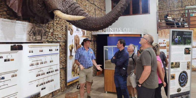 Addo Elephant National Park Half-Day Safari - Exclusions