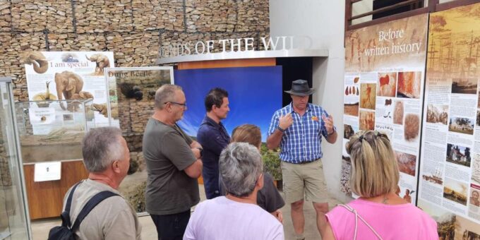 Addo Elephant National Park Half-Day Safari - Cancellation Policy