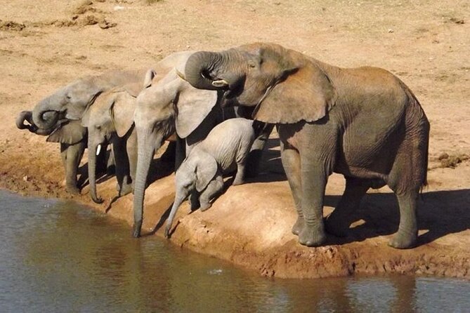 Addo Elephant National Park - HD01 - Tour Inclusions and Exclusions