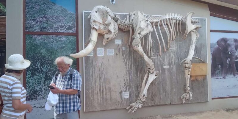 : Addo Elephant National Park Safari - What to Bring and Guidelines