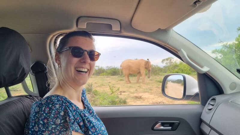 Addo Elephant Park and Giraffe Walk Private Full Day Safari - Pickup and Drop-off