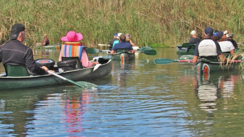 Addo River Safari - Guided Tour via Canoe - Key Points