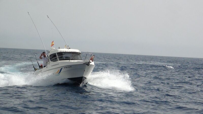 Adeje: 3.5–Hour Professional Fishing Experience - Fishing Highlights
