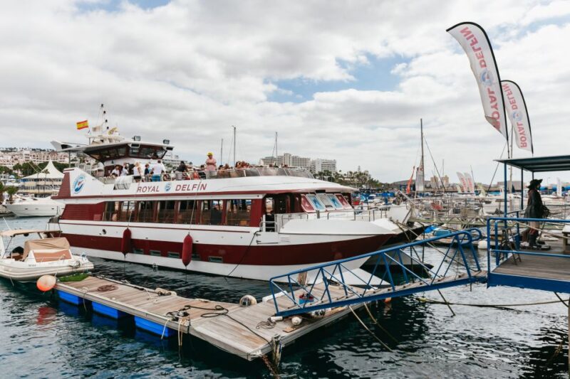 Adeje: Whale and Dolphin Watching Cruise With Lunch and Swim - Guided Tour and Accessibility
