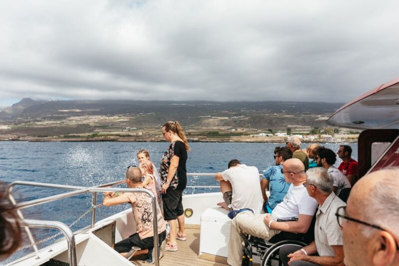 Adeje: Whale and Dolphin Watching Cruise With Lunch and Swim - Onboard Amenities