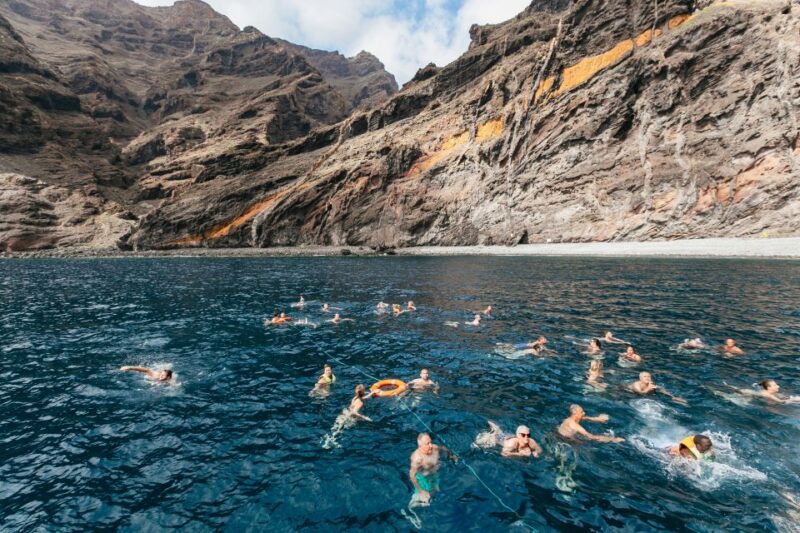 Adeje: Whale and Dolphin Watching With Lunch and Swimming - Guided Tour and Activities